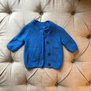 Never worn- Hanna Anderson Blue button down sweater